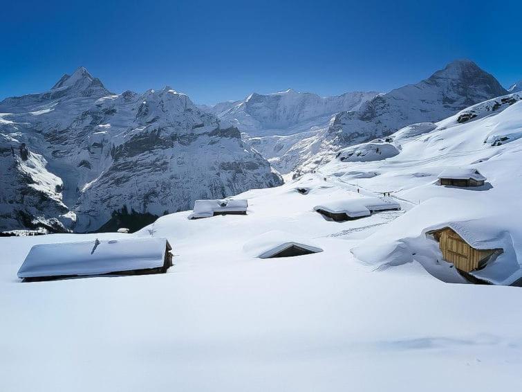 Chalet Aphrodite West Daire Grindelwald Dış mekan fotoğraf