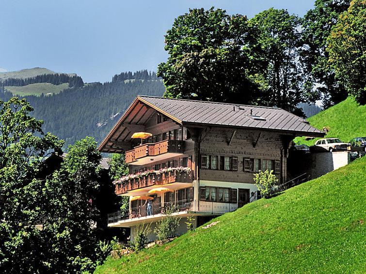 Chalet Aphrodite West Daire Grindelwald Dış mekan fotoğraf