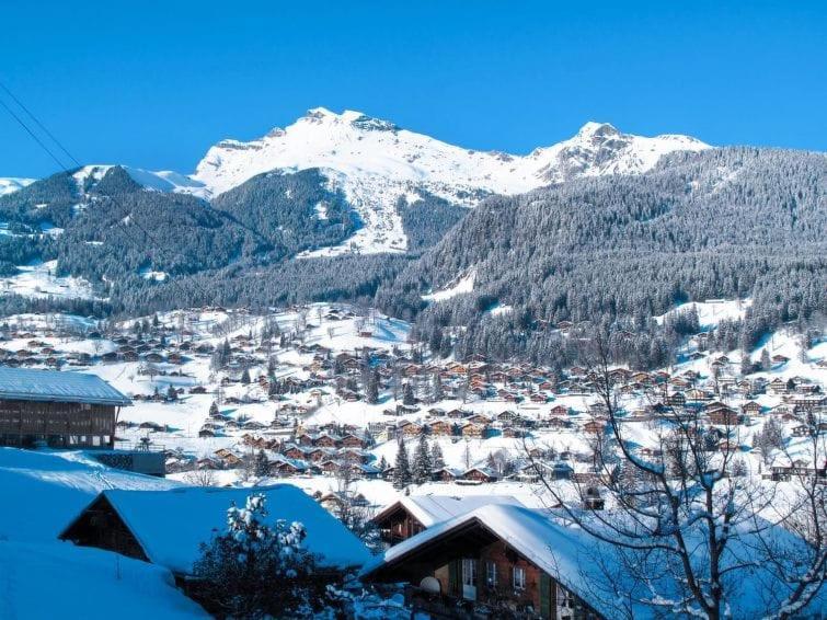 Chalet Aphrodite West Daire Grindelwald Dış mekan fotoğraf