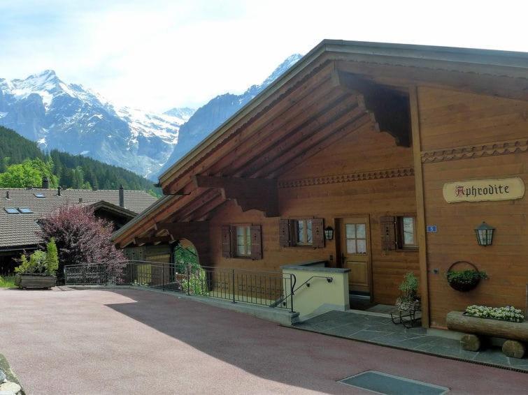 Chalet Aphrodite West Daire Grindelwald Dış mekan fotoğraf